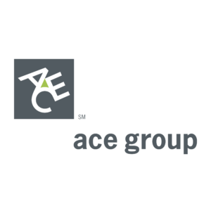 ace group 60272 premium quality