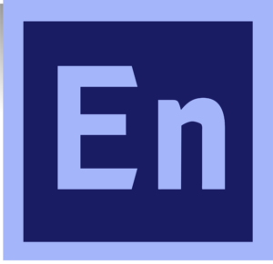 adobe encore cs6 icon custom design